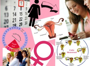 ciclo-menstrual-source